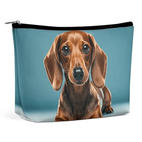 HJUQNGF Jet Fighter Kosmetiktasche, tragbar, Kulturbeutel, große Kapazität, Reise-Make-up-Tasche, Beauty-Make-up-Organizer für Shampoo, Conditioner, Pinsel-Set, Make-up-Zubehör, Niedliche Dackel-Hunde von HJUQNGF