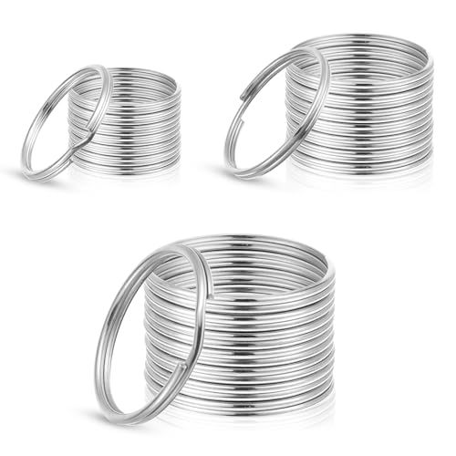 HJZHII 60 Stück Schlüsselringe Set, 3 Größen (30mm, 25mm, 20mm) Schlüsselring Rostfrei Schlüssel Ring Robust Schlüsselringe Edelstahl Schlüsselanhänger Ringe für Auto DIY Schmuck Bastelprojekte von HJZHII