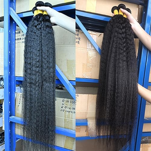 Echthaarbündel Gerade Brasilianische Haarwebart Bundles Rohes Menschliches Haar Bundles 12-30 Zoll Remy Extensions 1/3/ 4 Bundles for Frauen Haarverlängerungen (Size : 20 20 20) von HLHLOP777