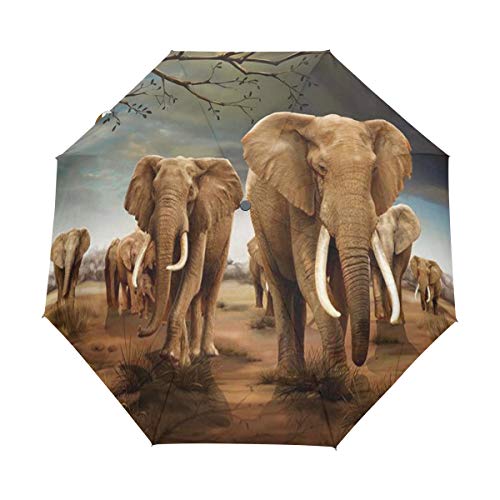 HMZXZ RXYY Regenschirm mit Elefantenmotiv, zusammenklappbar, automatisches Öffnen, Schließen, für Damen, Herren, Jungen, Mädchen, winddicht, kompakt, für Reisen, leicht, mehrfarbig, Closed Length: 11 von HMZXZ
