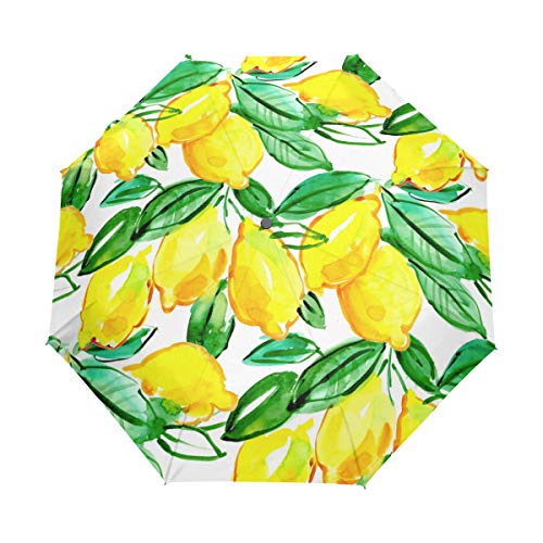 RXYY Aquarell Obst Zitrone Muster Falten Auto Öffnen Schließen Regenschirm für Frauen Männer Jungs Mädchen Winddicht Kompakt Reise Leicht Regen Regenschirm von HMZXZ
