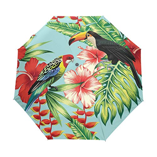 RXYY Frühling Sommer- Vogel Tukan Papagei Blume Falten Auto Öffnen Schließen Regenschirm für Frauen Männer Jungs Mädchen Winddicht Kompakt Reise Leicht Regen Regenschirm von HMZXZ