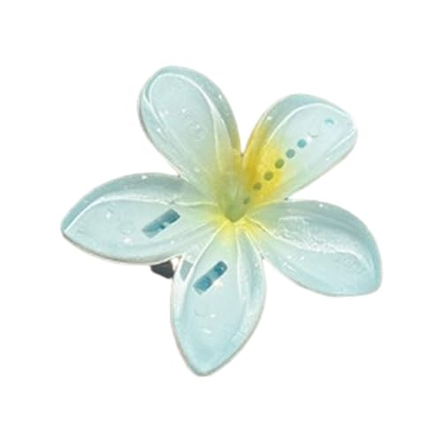 Haarspange mit Plumeria-Blume, niedlicher Pony, Haarspange, Plumeria-Kopfschmuck für Damen, Mädchen, Damen, Kopfbedeckung, Blumen-Haarspange für Frauen von HNsdsvcd