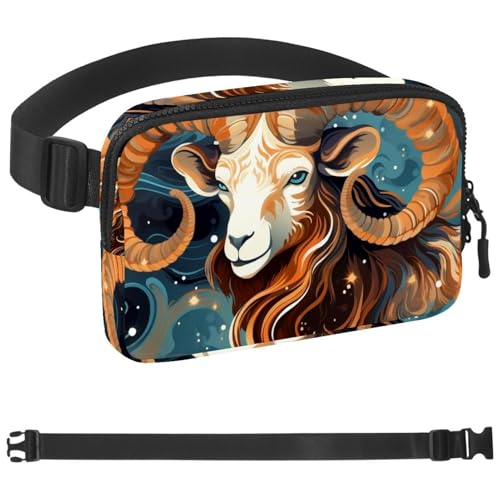 Tennisballtasche Laufgürtel für Damen und Herren, Handyhalterung zum Laufen, Bauchtasche für Damen und Herren, Halterung für Handy, Laufgürtel, verstellbare Größe, Mehrfarbig 18, von HOHODIY