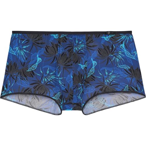 HOM Boxer Court PALAY von HOM