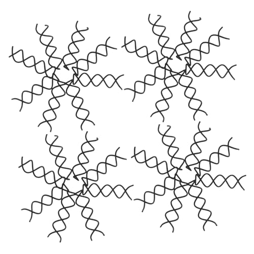 HONITANO 50 Stück Teiliges Spiral Haarnadeln mit Abgerundeten Spitzen Robuste Haarklammern für Hochsteckfrisuren Dutt und DIY Stylings Rutschfeste Haarspangen für Frauen und Mädchen von HONITANO