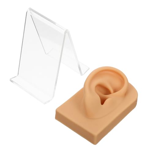 HONITANO Flexibles Verschleißfestes Silikon Ohrmodell mit Acrylständer Multifunktionaler Fake Ear für Piercing Übung Schmuckpräsentation und Dekorative Desktop Deko Geeignet für von HONITANO