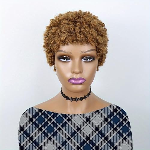 Afro-Locken-Pixie-Perücke, 6 Zoll kurze lockige Pixie-Perücke, Pixie-Echthaar-Perücke, Afro-Lockenhaar hitzebeständige synthetische Perücke, for Frauen tägliche Verwendung auf Partys Cosplay.(Brown) Afro-Locken-Pixie-Perücke, 6 Zoll kurze lockige Pixie-Perücke, Pixie-Echthaar-Perücke, Afro-Lockenhaar hitzebeständige synthetische Perücke, for Frauen tägliche Verwendung auf Partys Cosplay.(Brown) von HONRUIDA