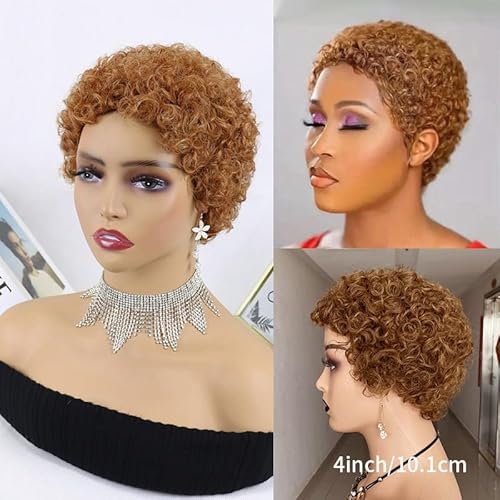 Kurze Afro Perücke aus verworrenen, lockigem Echthaar für Frauen, 4 Zoll lange Pixie-Perücke mit kurzen Locken, natürlich aussehende leimlose,for den täglichen Gebrauch auf Partys und Cosplay.(Orange) Kurze Afro Perücke aus verworrenen, lockigem Echthaar für Frauen, 4 Zoll lange Pixie-Perücke mit kurzen Locken, natürlich aussehende leimlose,for den täglichen Gebrauch auf Partys und Cosplay.(Orange) von HONRUIDA