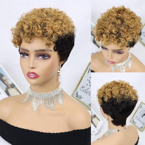 Kurze lockige Pixie-Perücke, 6 Zoll Wolllocken, voll maschinell hergestellte Echthaar-Perücke, Pixie-Schnitt-Perücke, hitzebeständige Perücke, for Frauen tägliche Party Cosplay-Nutzung.(Brown) von HONRUIDA