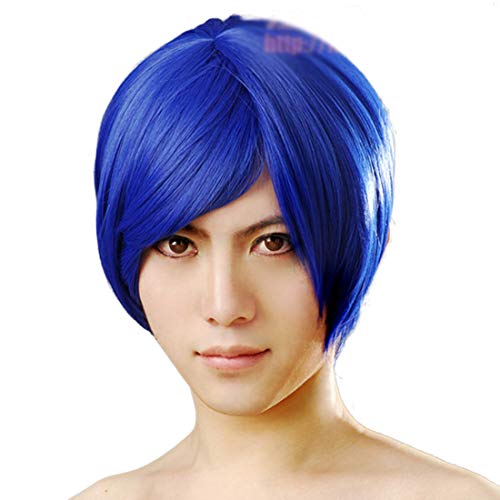 HOOLAZA Blaue Kurze Gerade Cosplay Perücke 30Cm Vocaloid Kaito Cosplay Perücke(EINWEG) von HOOLAZA