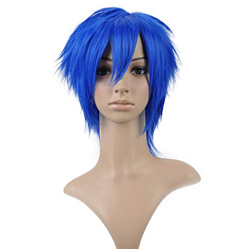 HOOLAZA Blaue Kurze Gerade Schwanz Anti Warping Cosplay Perücke 30cm Vocaloid Kaito Cosplay Perücke(EINWEG) von HOOLAZA