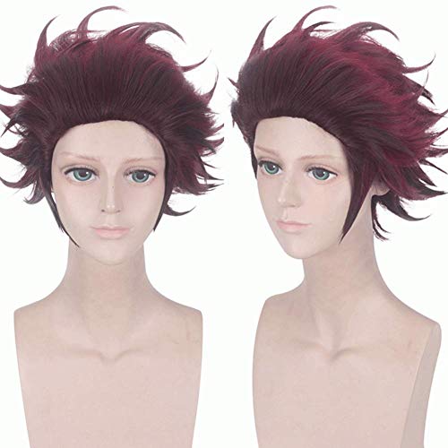 HOOLAZA Chestnut Brown Kurzschwanz Anti Warping Perücke 30Cm Kimetsu No Yaiba Kamado Tanjirou Cosplay Perücke von HOOLAZA