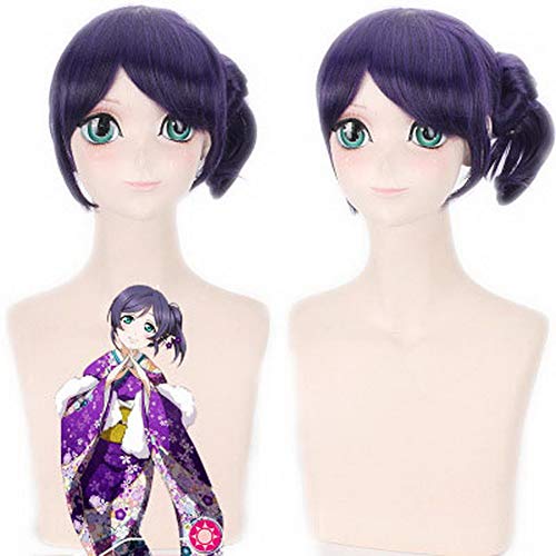 HOOLAZA Dark Purple Medium Gerade Perücke 30Cm Liebe Live Tojo Nozomi Cosplay Perücke von HOOLAZA
