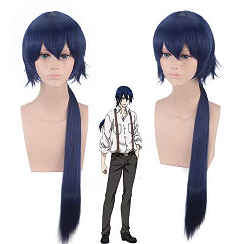 HOOLAZA Dunkelblau Lange Gerade Pony Perücke 70 Cm die Ausgestoßenen Unter Einer Person Zhu Ge Qing Cosplay Perücke von HOOLAZA