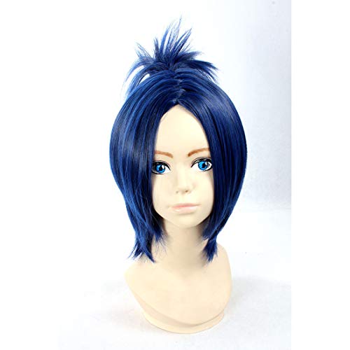 HOOLAZA Dunkelblaue Mittellange Perücke Hitman Reborn Rokudou Mukuro für die Halloween-Party-Cosplay-Perücken(EINWEG) von HOOLAZA