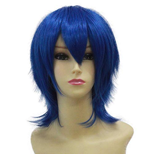 HOOLAZA Dunkelblaue Mittlere Gerade Pony Schwanz Anti Warping Cosplay Perücke Takakura Shyouma Cosplay Perücke(EINWEG) von HOOLAZA