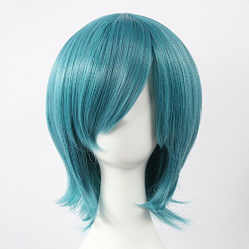 HOOLAZA Dunkelblaue kurze gerade Perücke Minami Jyuji Shugo Chara Sky Jack Touhou Projekt Fran Kasodani Kyouko Xie Seidenturm und Schwestern für die Halloween-Party-Cosplay-Perücken(EINWEG) von HOOLAZA