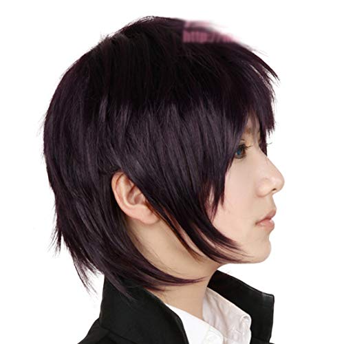 HOOLAZA Dunkelviolette Kurze Leichte Flauschige BangsTail Anti Warping Cosplay Perücke Takanashi Touka Cosplay Perücke(EINWEG) von HOOLAZA