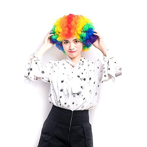 HOOLAZA Frauen Kurze Multi Farbe Afro Clown Perücke Halloween Christmas Party Cosplay Perücke von HOOLAZA