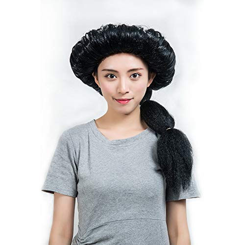 HOOLAZA Frauen Lange Schwarze Geflochtene Jasmin Prinzessin Cospaly Perücken Cosplay Halloween Christmas Party Perücke von HOOLAZA