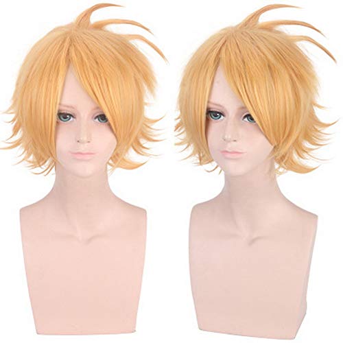 HOOLAZA Goldene Kurze Leichte Flauschige Schwanz Anti Warping Perücke 35 Cm My Hero Academia Kaminari Denki Cosplay Perücke von HOOLAZA