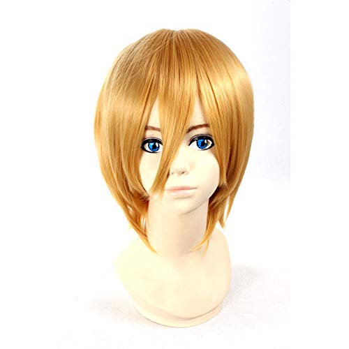 HOOLAZA Goldene kurze gerade Perücke Alois Trancy Hitman Reborn Belphegor Takagi Akito Shoot Kubinashi Axis Power Hetalia Vash Zwingli für die Halloween Party Cosplay Perücke(EINWEG) von HOOLAZA