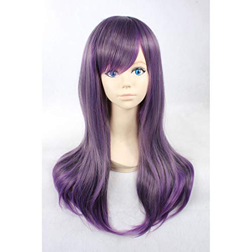 HOOLAZA Gradient Grau und Lila Lange Gerade Perücke Harajuku Style Lolita für die Halloween Party Cosplay und Daily Life Perücken(EINWEG) von HOOLAZA