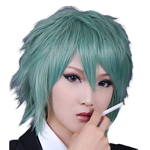 HOOLAZA Grau Grün Kurz Geschichtet Geschreddert Gerade Bangss Anti Alice Cosplay Perücke Togainu Keine Chi Akira Cosplay Perücke(EINWEG) von HOOLAZA