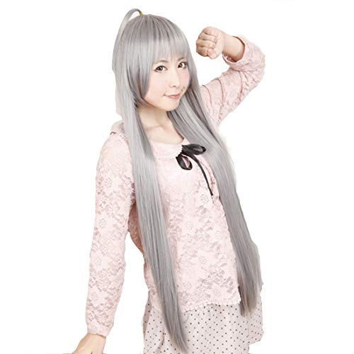 HOOLAZA Grau Lange Gerade mit Pony Cosplay Perücke Schleichen Sie es Naiya Sub Stay Hair Movable Perücke(EINWEG) von HOOLAZA
