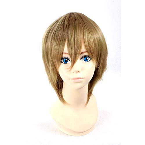 HOOLAZA Graue Kurze Gerade Perücke Suzuya Tohzuki Yumasaki Walker Reim Lunettes Ivan Braginsky der Russischen Föderation Peter Kirkland Eduard Von Bock für die Halloween Party Cosplay Perücke(EINWEG) von HOOLAZA