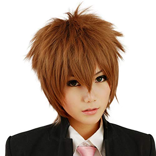 HOOLAZA Hellbraune Kurze Leichte Flauschige BangsTail Anti Warping Cosplay Perücke Wataya Arata Hibari Kyoya Ahp Anti Alice Cosplay Perücke(EINWEG) von HOOLAZA