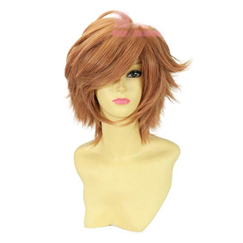 HOOLAZA Hellbraune Kurze Leichte Flauschige Schwanz Anti Warping Cosplay Perücke Brothers Conflict Asahina Futo Cosplay Perücke(EINWEG) von HOOLAZA