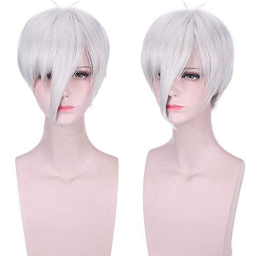HOOLAZA Kurze Perücke mit geradem Pony, grau, 30 cm Land der glänzenden antarktischen Cosplay-Perücke von HOOLAZA