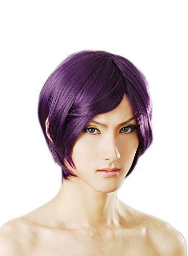 HOOLAZA Lila und Schwarz Kurze Gerade Cosplay Perücke 30 Cm Mehrzweck Cosplay Perücke(EINWEG) von HOOLAZA
