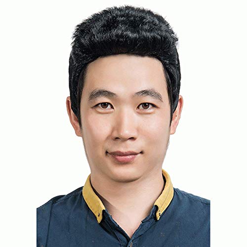 HOOLAZA Männer kurze schwarze 80er Jahre Rocker Perücke Weihnachtsfeier Cosplay Perücke von HOOLAZA