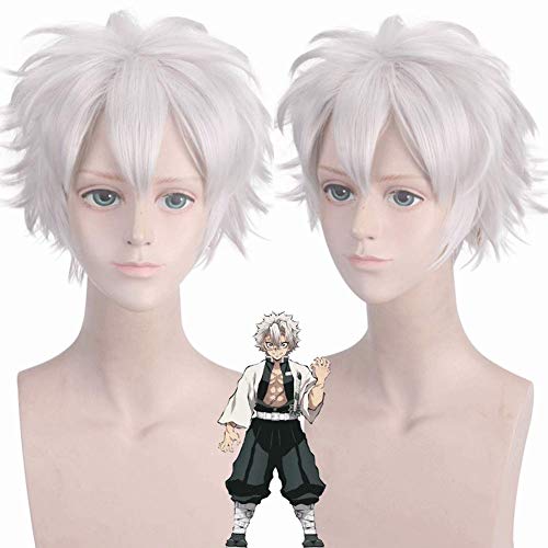 HOOLAZA Silber Kurzschwanz Anti Warping Perücke 28cm Kimetsu No Yaiba Shinazugawa Sanemi Cosplay Perücke von HOOLAZA