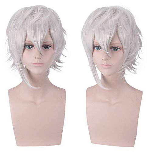 HOOLAZA Silber Weiß Kurze Leichte Flauschige Pony Perücke 32 Cm Fate Grand Order Kadoc Zemlupus Cosplay Perücke von HOOLAZA
