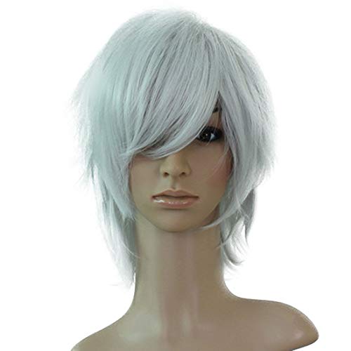 HOOLAZA Silber Weiß Kurzes Lockiges Haar Schwanz Cosplay Perücke Achsenkräfte Inu Boku Geheimdienst Miketsukami Soushi Zukunftstagebuch Akise Aru Cosplay Perücke(EINWEG) von HOOLAZA