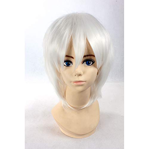 HOOLAZA Silber Weiße Kurze Gerade Perücke Kouichi Aizawa Accelerator Hitman Reborn Sasagawa Ryohei Fersonaldata für die Halloween Party Cosplay Perücke(EINWEG) von HOOLAZA