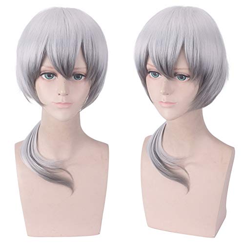 HOOLAZA Silbergrau Short Straight Bangs Perücke 40cm Arknights Cosplay Perücke von HOOLAZA