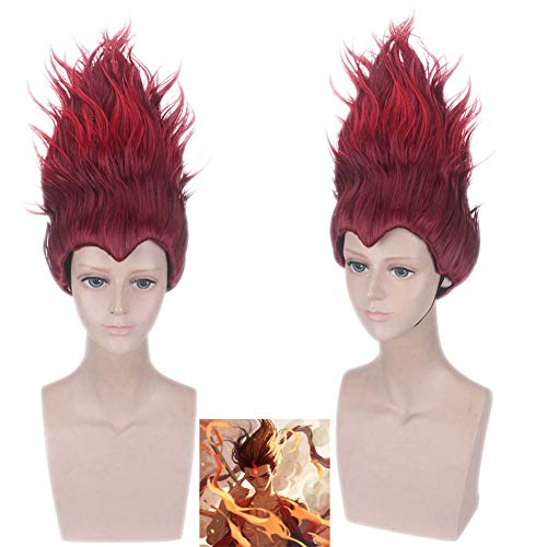HOOLAZA Weinrot Kurze Afro Flauschige Perücke 30 Cm Ne Zha Ich bin das Schicksal Ne Zha Cosplay Perücke von HOOLAZA
