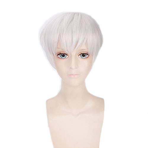 HOOLAZA Weiß Gemischte Kurze Gerade Perücke 30 Cm Tokyo Ghoul Ghoul Kaneki Ken Cosplay Perücke von HOOLAZA