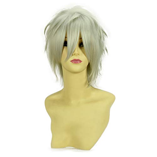 HOOLAZA graue kurze leichte flauschige Pony lockiges Haar Schwanz Cosplay Perücke Gintama Sakata Gintoki Nana Okazaki Shinichi Cosplay Perücke(EINWEG) von HOOLAZA