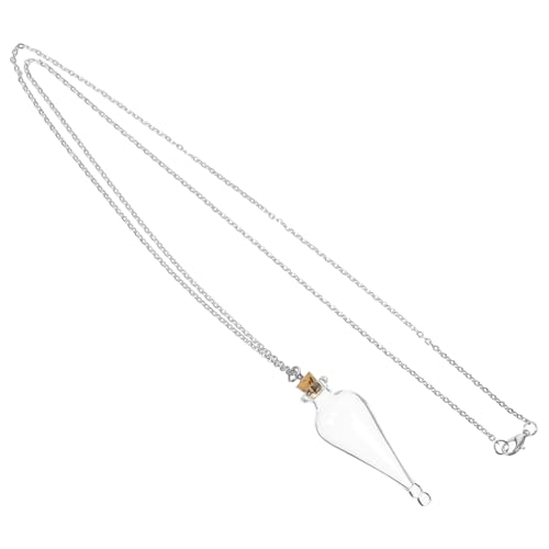 HOOTNEE Mini Wishing Bottle Halskette Klare Glasflasche mit Kette Leeres Fläschchen für DIY Schmuckanhänger für Hochzeitsgeschenke Erinnerungsstücke und Dekoration von HOOTNEE