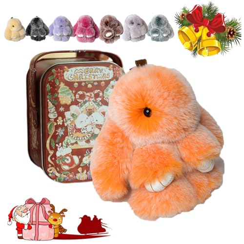 Bunny Lulu Keychain with Tin, Bunny Lulu Keychain, Bunnylulu Keychain, Bunnylulu Keychain with Box for (B) von HOPASRISEE