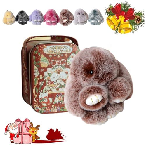 Bunny Lulu Keychain with Tin, Bunny Lulu Keychain, Bunnylulu Keychain, Bunnylulu Keychain with Box for (D) von HOPASRISEE