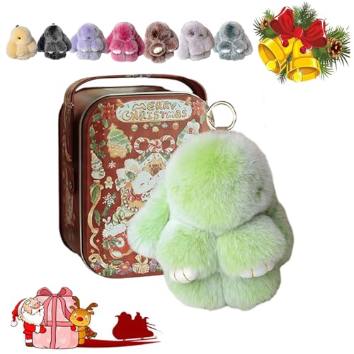 Bunny Lulu Keychain with Tin, Bunny Lulu Keychain, Bunnylulu Keychain, Bunnylulu Keychain with Box for (J) von HOPASRISEE