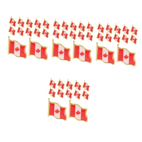 HORIALENCE 4 Sätze Flaggen Anstecknadeln Metall Broschen Für Kleidung Einfache Anbringung Für Reisen Elegant Und Langlebig Für Freunde Und Familie 25 Stück * 4 von HORIALENCE