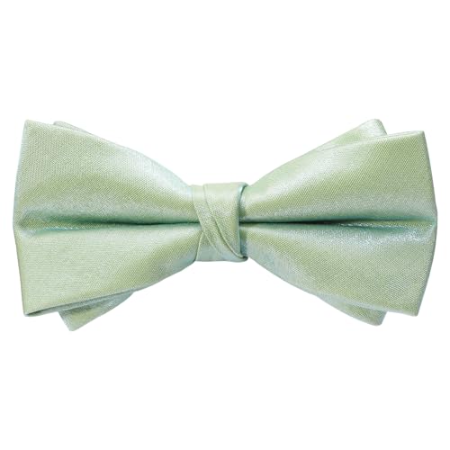 HOULIFE Fliege für Herren verstellbar vorgebundene Fliege Satin-Polyester-Fliege einfarbig Schmetterlingsfliege für Party Hochzeit Bankett, Minzgrün von HOULIFE